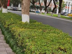 -浙江大学(玉泉校区)