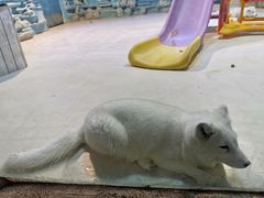 -华夏文旅海洋公园