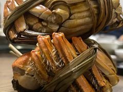 -蟹村草堂·苏式园林人文农家·大闸蟹