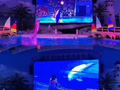 -海合安武汉极地海洋公园