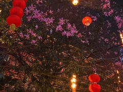 -大佛古寺