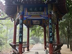 -潜山国家森林公园