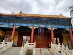 -北京国子监胡同