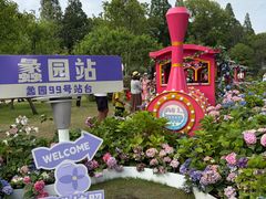 -无锡蠡湖国家湿地公园-蠡园