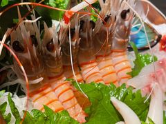 新西兰鳌虾-Mr·Fish鱼鲜生海鲜放题(银泰in99店)