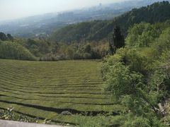 -敬亭山风景名胜区