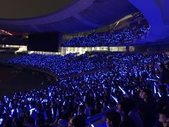 -南京奥林匹克体育中心-体育馆