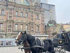 -滴血救世主教堂