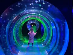 -海合安成都极地海洋公园