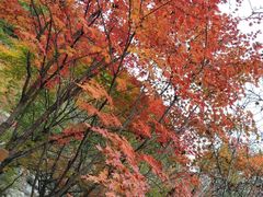 -丹东天桥沟景区