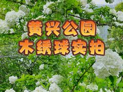 -黄兴公园