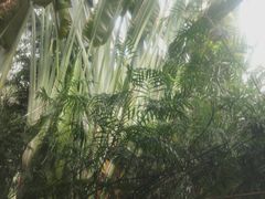-龙达温泉生态城