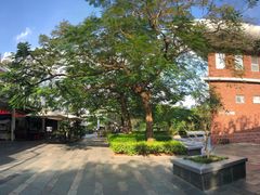-三妹小龙虾·黄油蟹(华侨城总店)