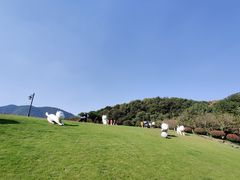 -杭州半山国家森林公园