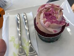 焦糖鹿鹿杯子蛋糕-星巴克(锦州太阳广场店)