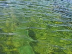 -云朵小院·石锅鱼·野生菌餐厅(蒗放店)