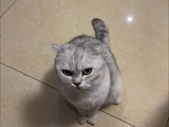 -美迦爱-牙专科·兔科·骨科诊疗中心(北苑店)