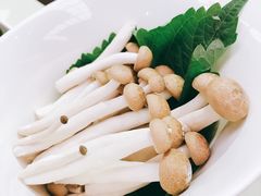 蟹味菇-海底捞(明洞店)