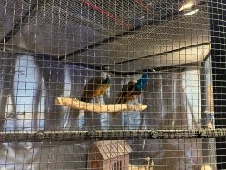 -酷嗒动物文化乐园(cutezoo西溪乐天城店)