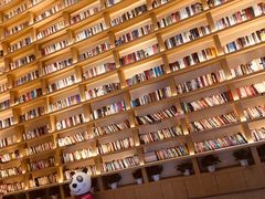 -深影国际影城(学院南路店CGS中国巨幕店)