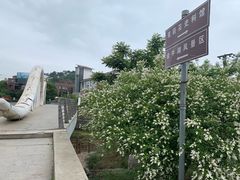 -南京金牛湖风景区