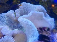 -海合安武汉极地海洋公园