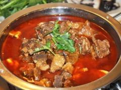 气锅羊肉-沙龙酒家