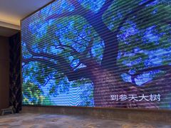 -御彩酒家(东风东路店)