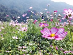 景点-广州市石门国家森林公园