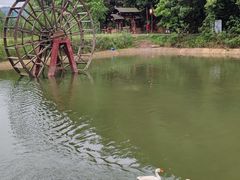 -酒仙湖景区