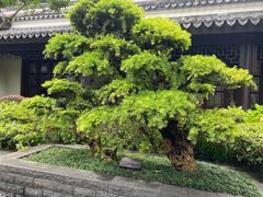 -杭州西子湖四季酒店-WL BISTRO西湖餐厅(灵隐路店)