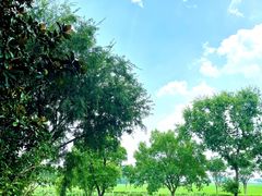 -嘉北郊野公园