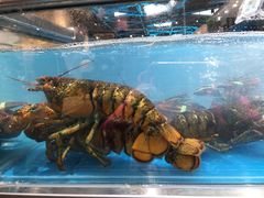 -盒马鲜生(领丰汇店)