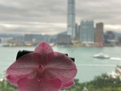 -Caprice(香港四季酒店)