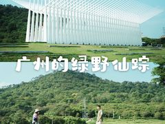 -风云岭森林公园