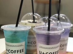 -Heymao猫咖.咖啡厅(东门店)