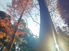 -广州市帽峰山景区