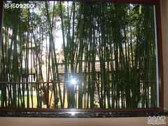 窗外竹林@汇金玄武-汇金酒店·餐厅