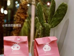 -WHEN PIGS FLY当猪飞