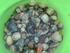 -天津东疆湾沙滩景区
