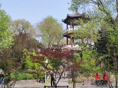 -莲花池公园