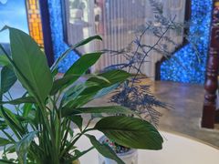 -大瀚养生SPA足道会馆(长逸店)
