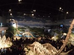 -自贡恐龙博物馆