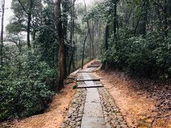 -西湖风景区十里琅珰-五云山