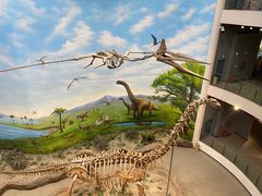 -辽宁古生物博物馆