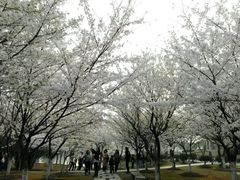 -江南大学(蠡湖校区)