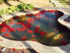 -思念果岭悦温泉