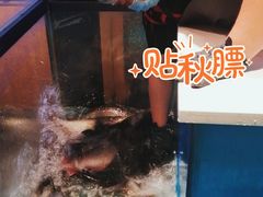 -鱼酷活鱼烤鱼(静安大融城店)