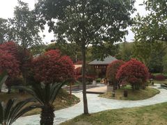 -咸宁万豪温泉谷度假区