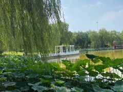 -丰台花园